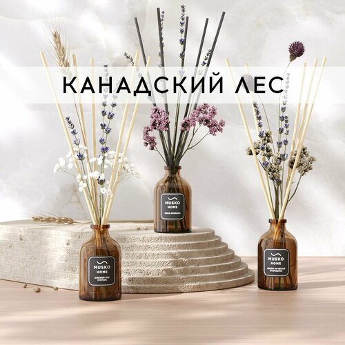 Набор ароматических диффузоров 