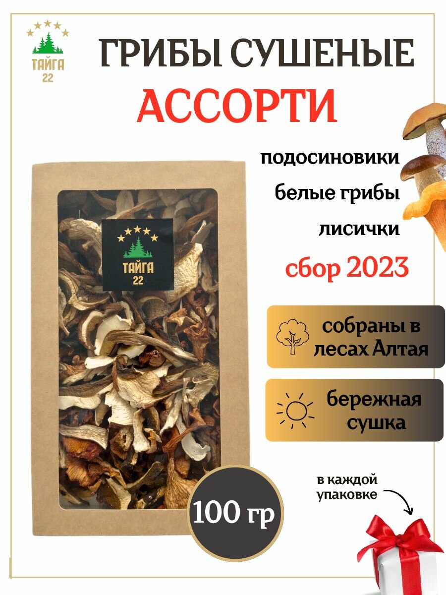 Сушеные грибы ассорти набор 100 грамм