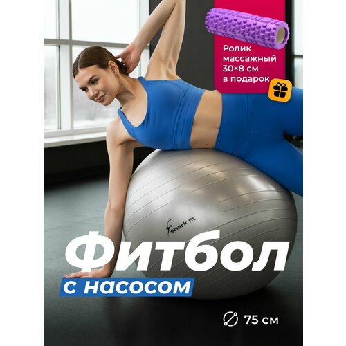 Фитбол гимнастический, ролик массажный Shark Fit фиолетовый, серебристый