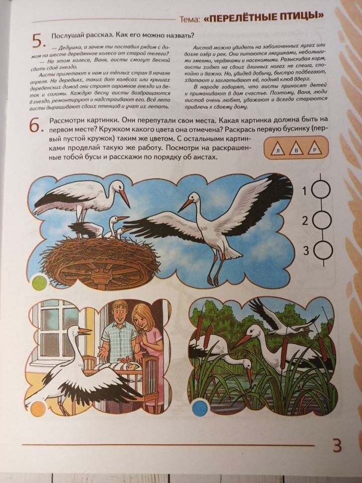 Книга Развиваем связную речь у детей 5-6 лет с ОНР - фото №10