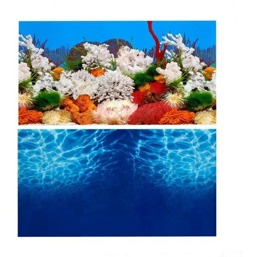 Пижон Аква Фон для аквариума двухсторонний, 30 х 50 см