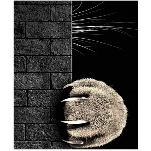Картина по номерам Кошачья лапа 40х50 см АртТойс трафареты кошачья лапа 15 см