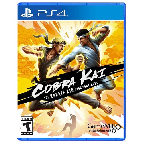 Игра для PlayStation 4 Cobra Kai: The Karate Kid Saga Continues игра для nintendo switch cobra kai the karate kid saga continues