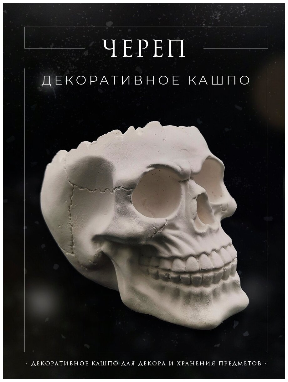 Кашпо Череп из гипса / Органайзер для кисточек и канцелярии