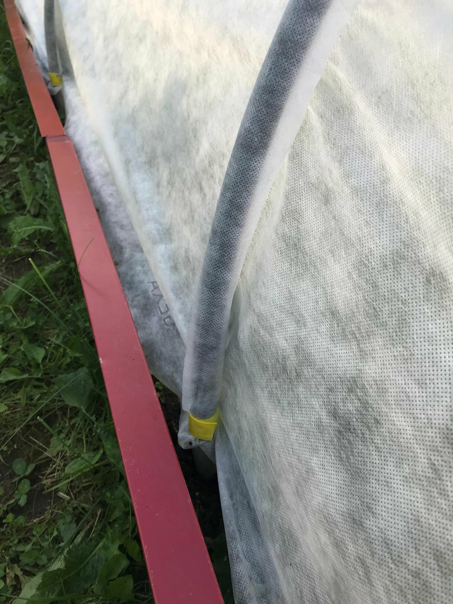 Агротекс (спанбонд), 42 г/м2, белый, 2,1х8 м — фото 1