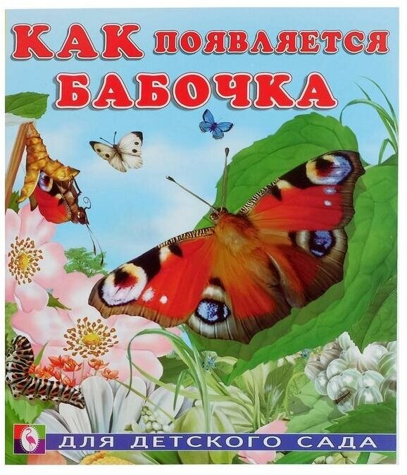 Книга Фламинго Как появляется бабочка