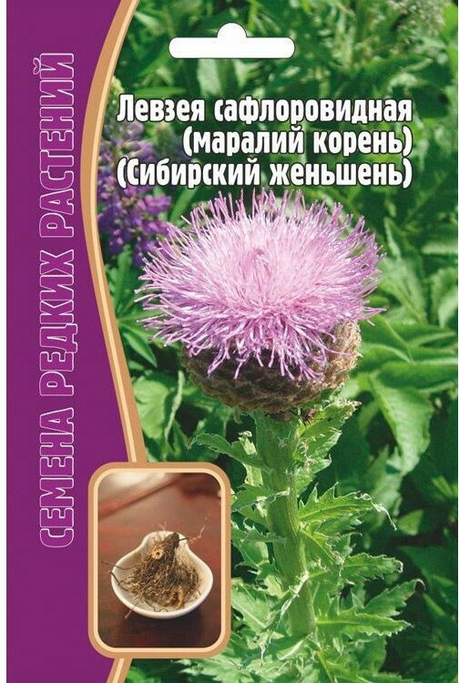 фото Семена Левзеи сафлоровидной (Моралий корень, Сибирский женьшень) (10 семян)