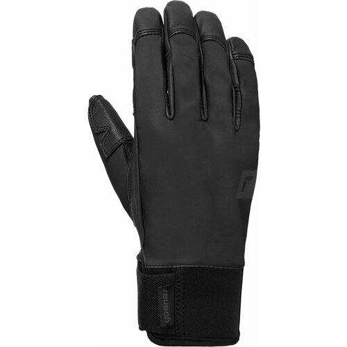 Перчатки горнолыжные REUSCH Alp-X Touch-Tec Black (inch (дюйм):10)