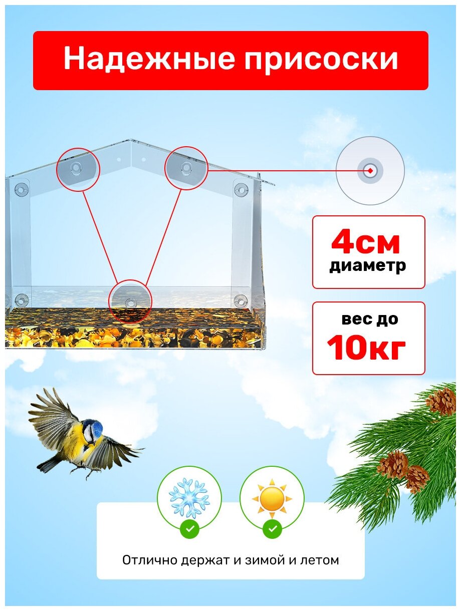 Кормушка для птиц прозрачная на присосках - фотография № 3