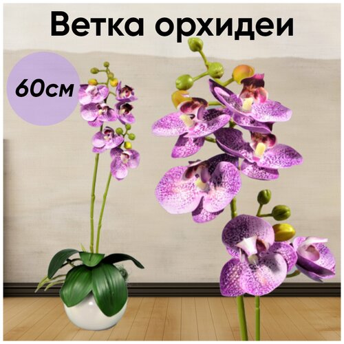 Ветка орхидеи 60см силикон цветная