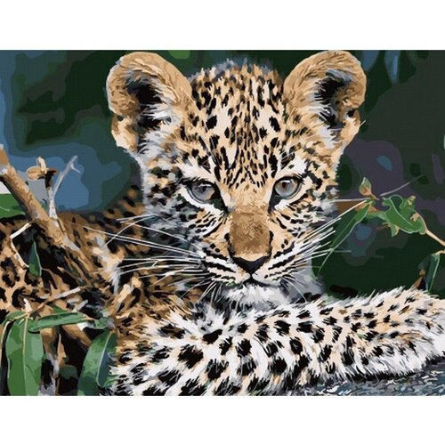 Картина по номерам Подрастающий леопард 40х50 см Hobby Home