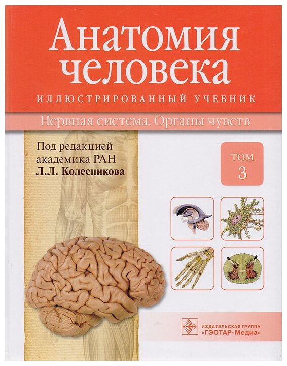 Анатомия человека. Учебник в 3-х томах. Том 3. Нервная система. Органы чувств