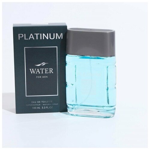 Туалетная вода мужская Platinum Water, 100 мл