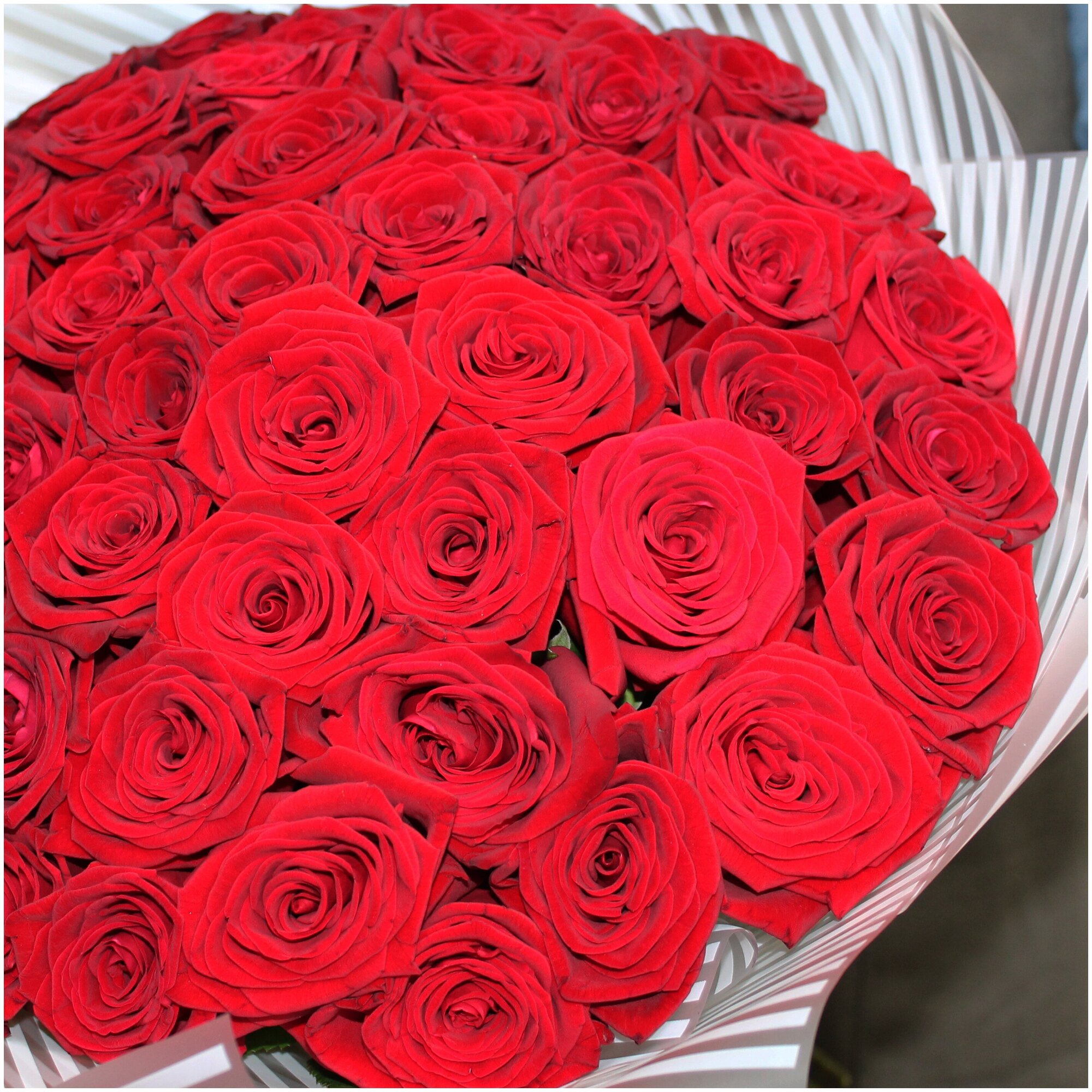 Роскошный букет из 51 розы. Букет AR0117 ALMOND ROSES