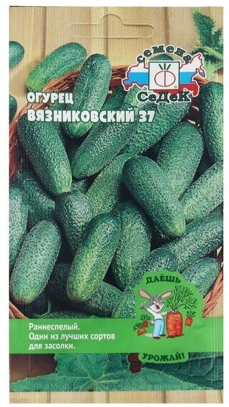 Семена Огурец "Вязниковский 37 "0.5 г