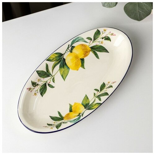 Блюдо овальное Доляна «Лимон», 28×14,5 см, цвет белый
