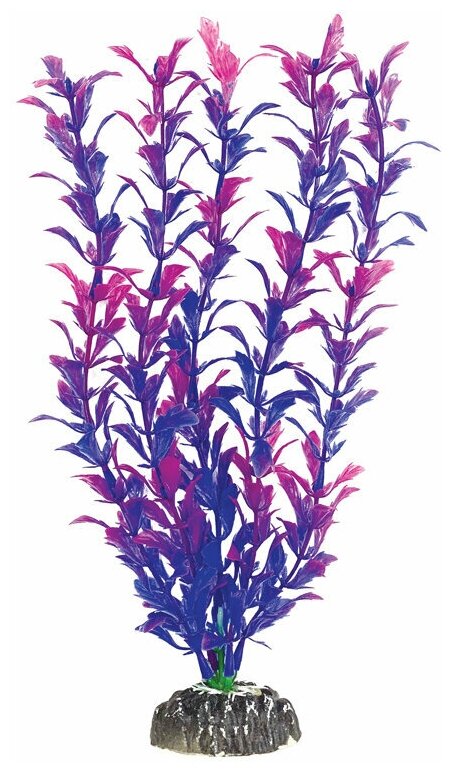 Растение "Людвигия фиолетовая", 300мм, 1шт