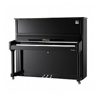 Wendl&Lung W123BL Пианино акустическое, черное
