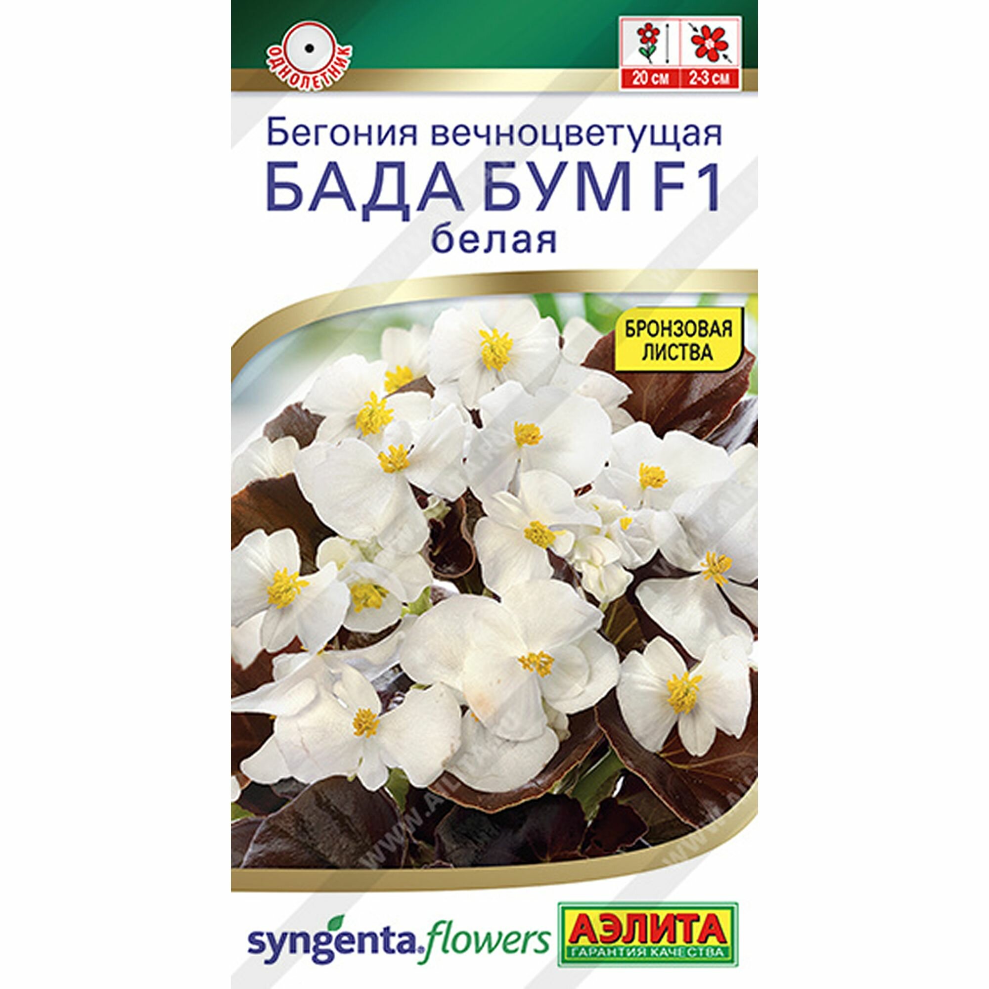 Семена Бегония Бада бум F1 белая однолетник (Аэлита) 5шт Syngenta