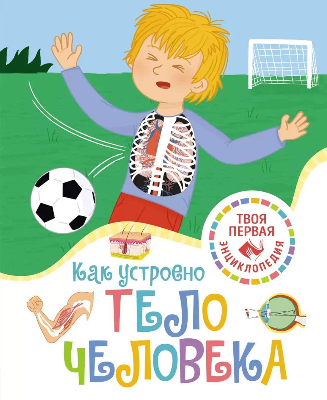 Как устроено тело человека (Симон Филипп) - фото №1