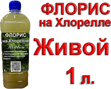 Флорис на Хлорелле (бактерии Pseudomonas) 1 литр.