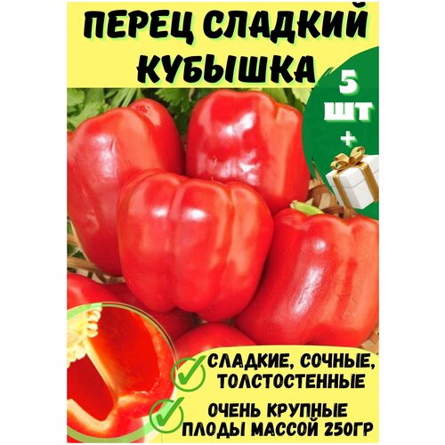 Перец сладкий кубышка 5шт перец сладкий кубышка 3шт