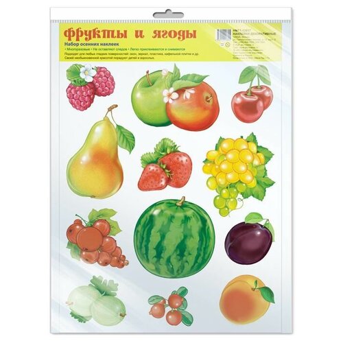 Набор осенних наклеек Творческий Центр сфера Фрукты и ягоды, формат А4, в пакете