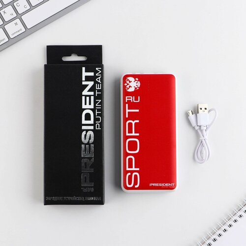 Зарядное устройство Sport 8000мА модель PB-16 145 х 69 см 205100₽