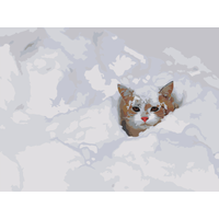 Картина по номерам Рыжий кот в снегу на стену