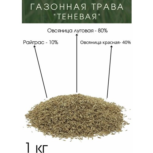 Газонная Трава Теневая 1 кг набор семян итальянские травы семена