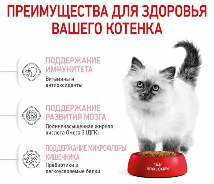 Сухой корм для котят Royal Canin Maine Coon Kitten, для котят породы мейн-кун, от 3 до 15 месяцев, 4 шт. х 400 г