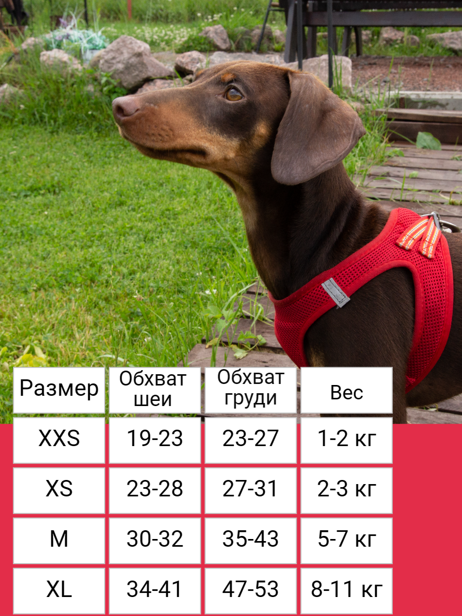Прогулочная шлейка для собак и кошек со светоотражающими элементами, XS красная - фотография № 5