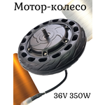 Мотор-колесо 36V 350W - изображение