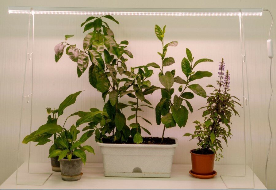 Uniel подставка для свет-ка для растений (фито) h=400-500-800мм металл/бел UFP-G22S H80/60/40 WHITE (арт. 833819) - фотография № 6