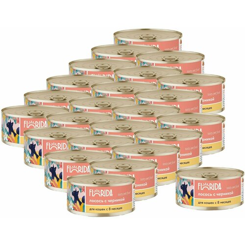FLORIDA консервы для кошек Лосось с черникой 0,1 кг. х 24 шт.