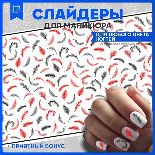 Наклейки для ногтей Перо 10х6см
