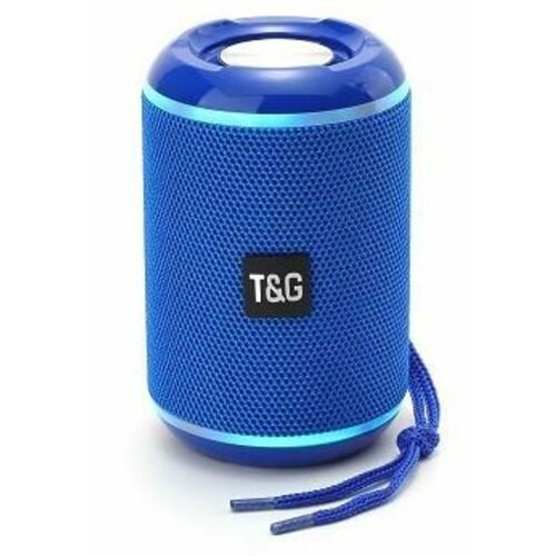 Колонка T G 291 синий 199800₽
