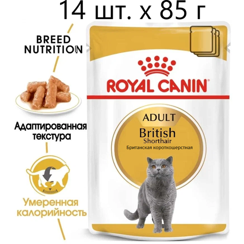 royal canin british shorthair adult для взрослых британских короткошерстных кошек 4 4 кг Влажный корм для кошек Royal Canin British Shorthair Adult, для взрослых кошек породы британская короткошерстная, 14 шт. х 85 г (кусочки в соусе)