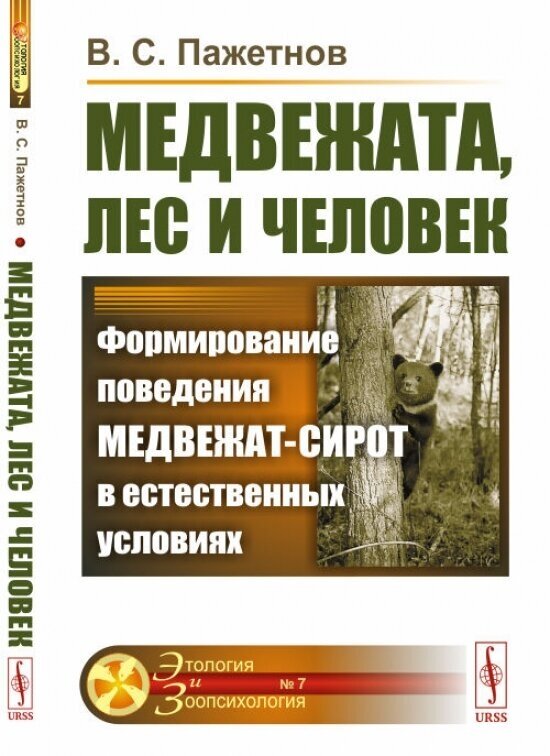 Медвежата лес и человек Формирование поведения медвежат-сирот в естественных условиях - фото №1