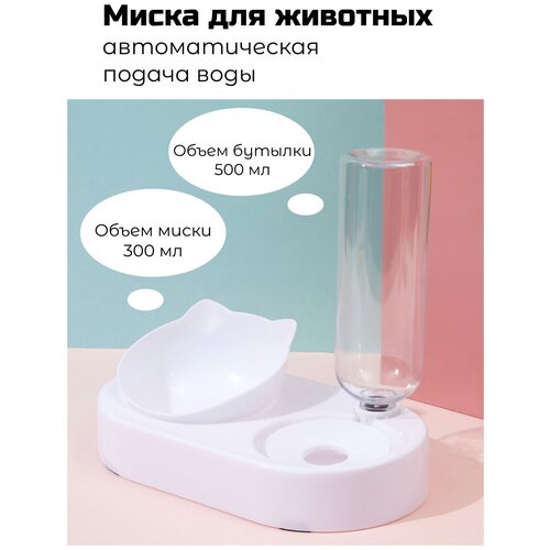 Двойная миска на подставке с наклоном с автопоилкой