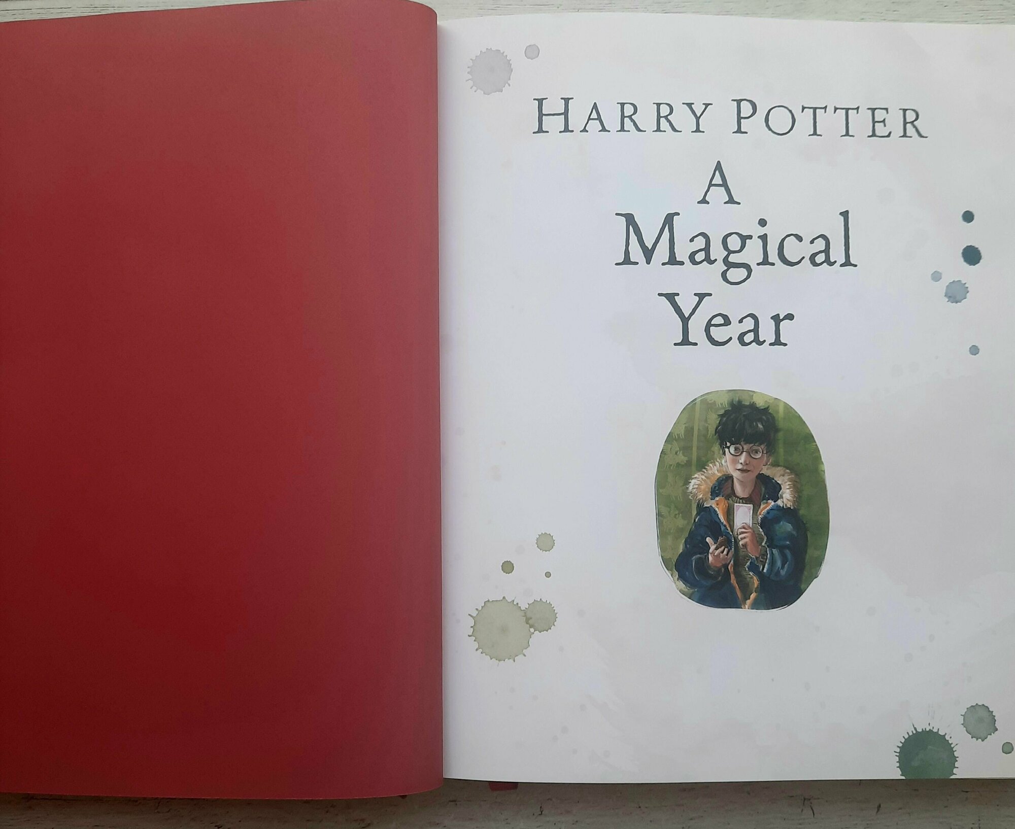 Harry Potter – A Magical Year (Роулинг Джоан) - фото №10