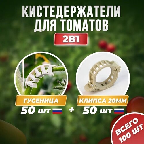 белый, бежевый