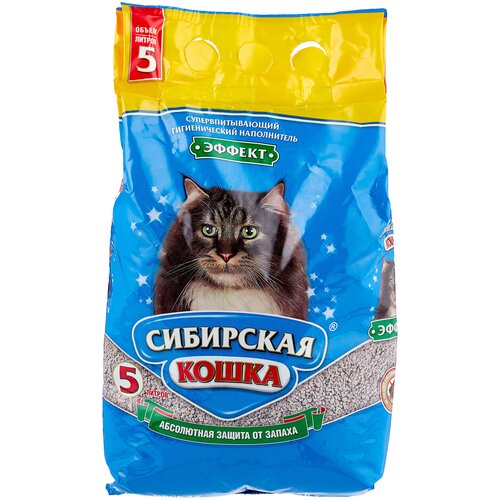 Сибирская Кошка 