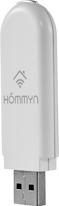 Съёмный модуль управления Hommyn