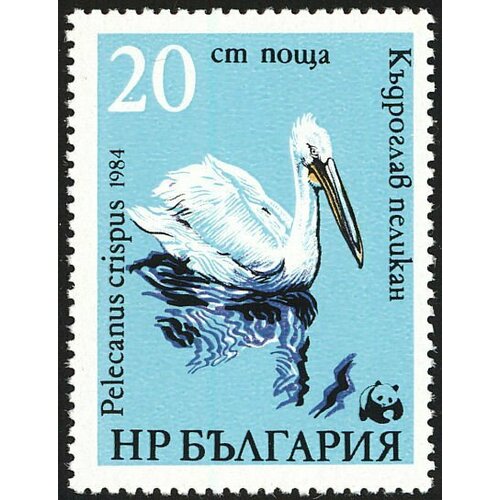 (1984-074) Марка Болгария Пеликан (3) Всемирная охрана природы II Θ 1984 073 марка болгария пеликан 2 всемирная охрана природы i θ
