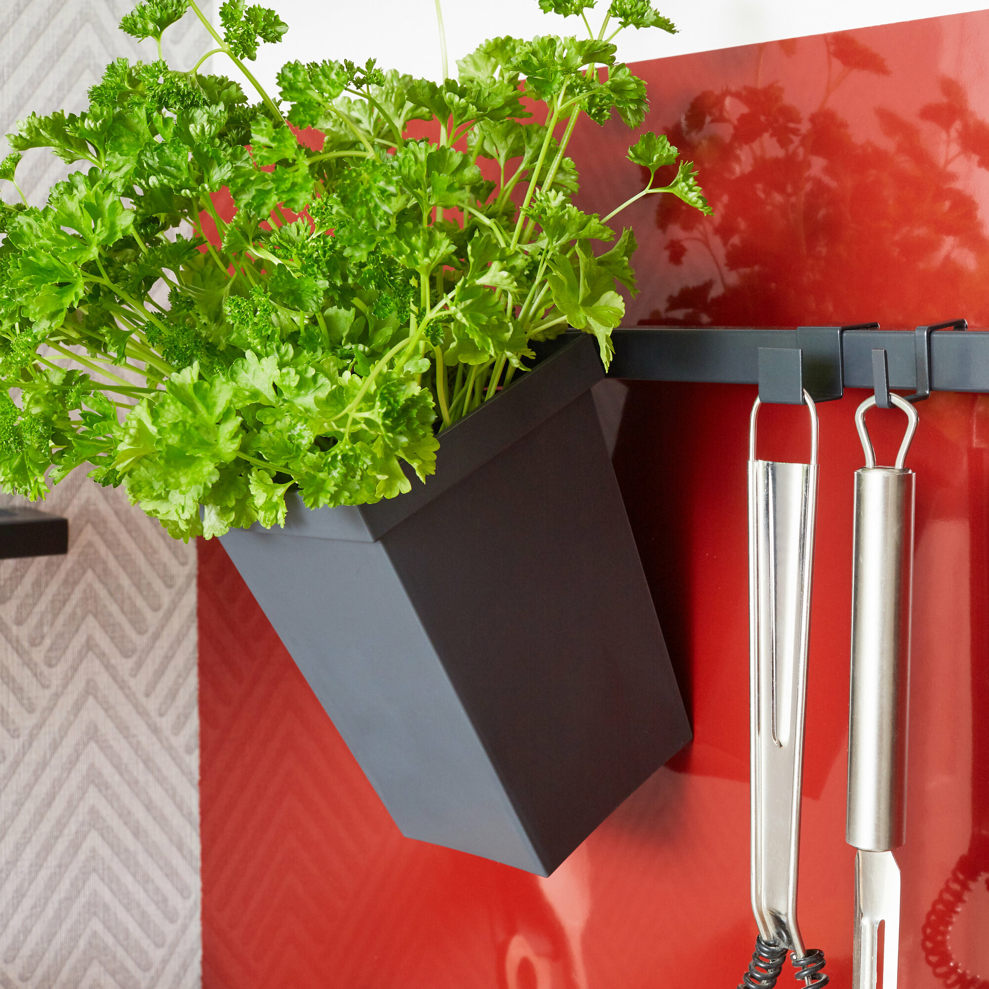 Набор крючков вертикальных Delinia ID 4.2х1.9х1.8 см, сталь, цвет чёрный, 2 шт. - фото №6