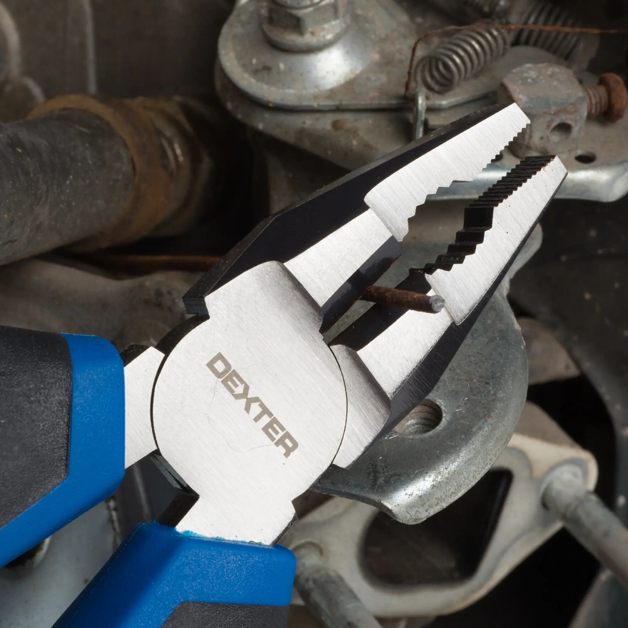 Набор плоскогубцы Dexter 3 шт. - фото №6