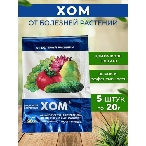ХОМ средство от болезней растений 5 шт
