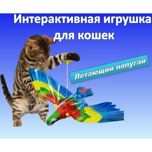 Интерактивная игрушка для кошек, подвесная птица