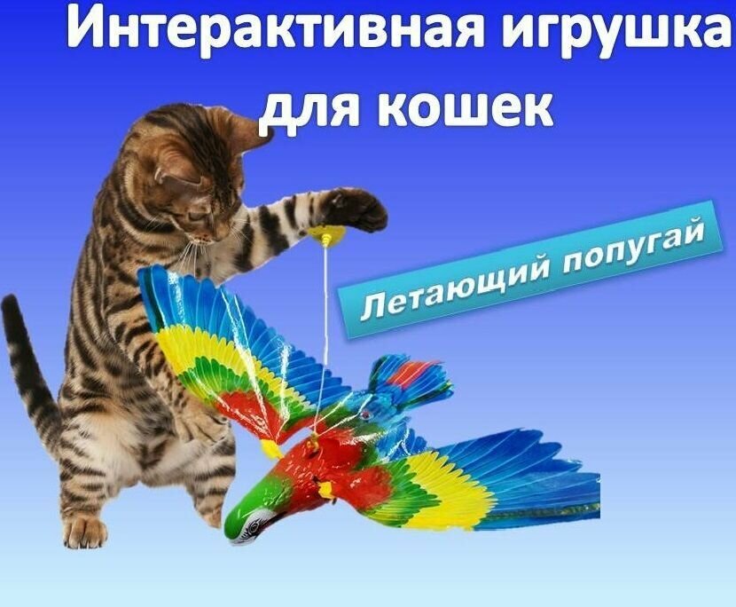 Интерактивная игрушка для кошек подвесная птица